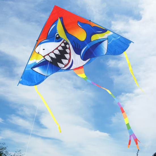   طائره ورقيه بعرض ١م وطول ١.٢م