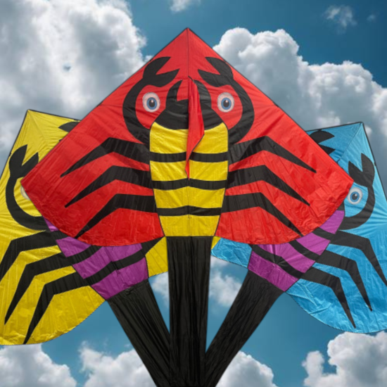 طياره ورقيه كبيره جامبو العرض٢٥٠ الطول٥٧٠