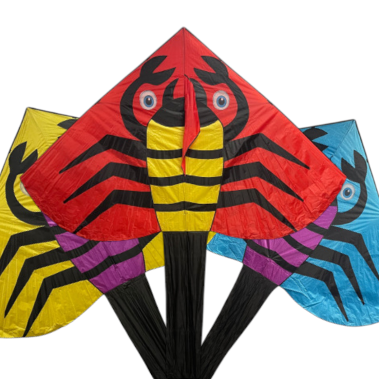 طياره ورقيه كبيره جامبو العرض٢٥٠ الطول٥٧٠